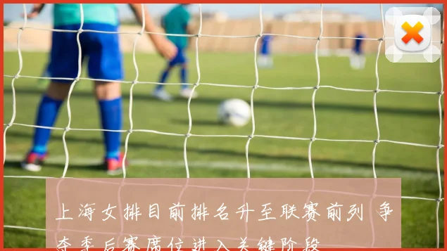 上海女排目前排名升至联赛前列 争夺季后赛席位进入关键阶段
