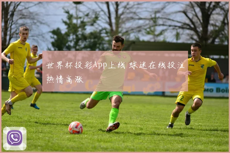 世界杯投彩App上线 球迷在线投注热情高涨