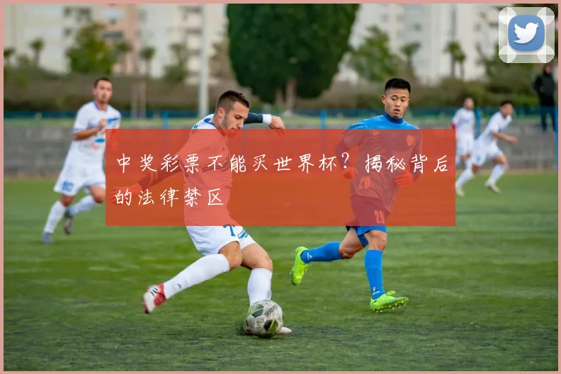 中奖彩票不能买世界杯？揭秘背后的法律禁区