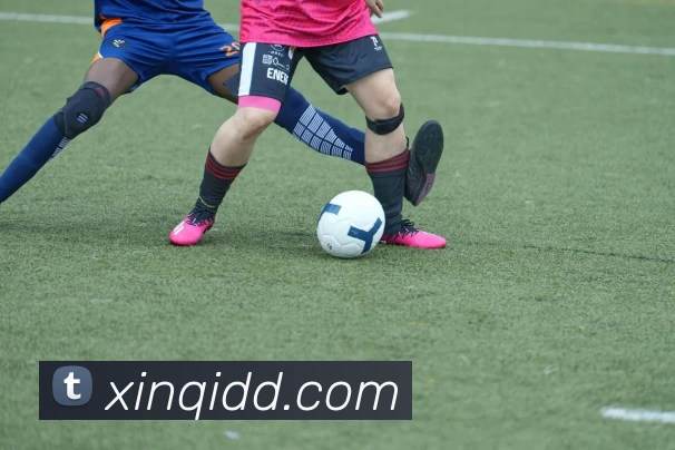 买球官方服务体系